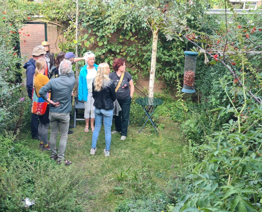 Steenbreek en bijenlint tuin achter