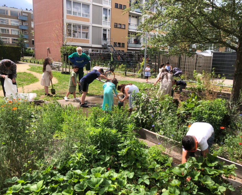 b38bb917-f415-46c9-a757-2c150c3985d4